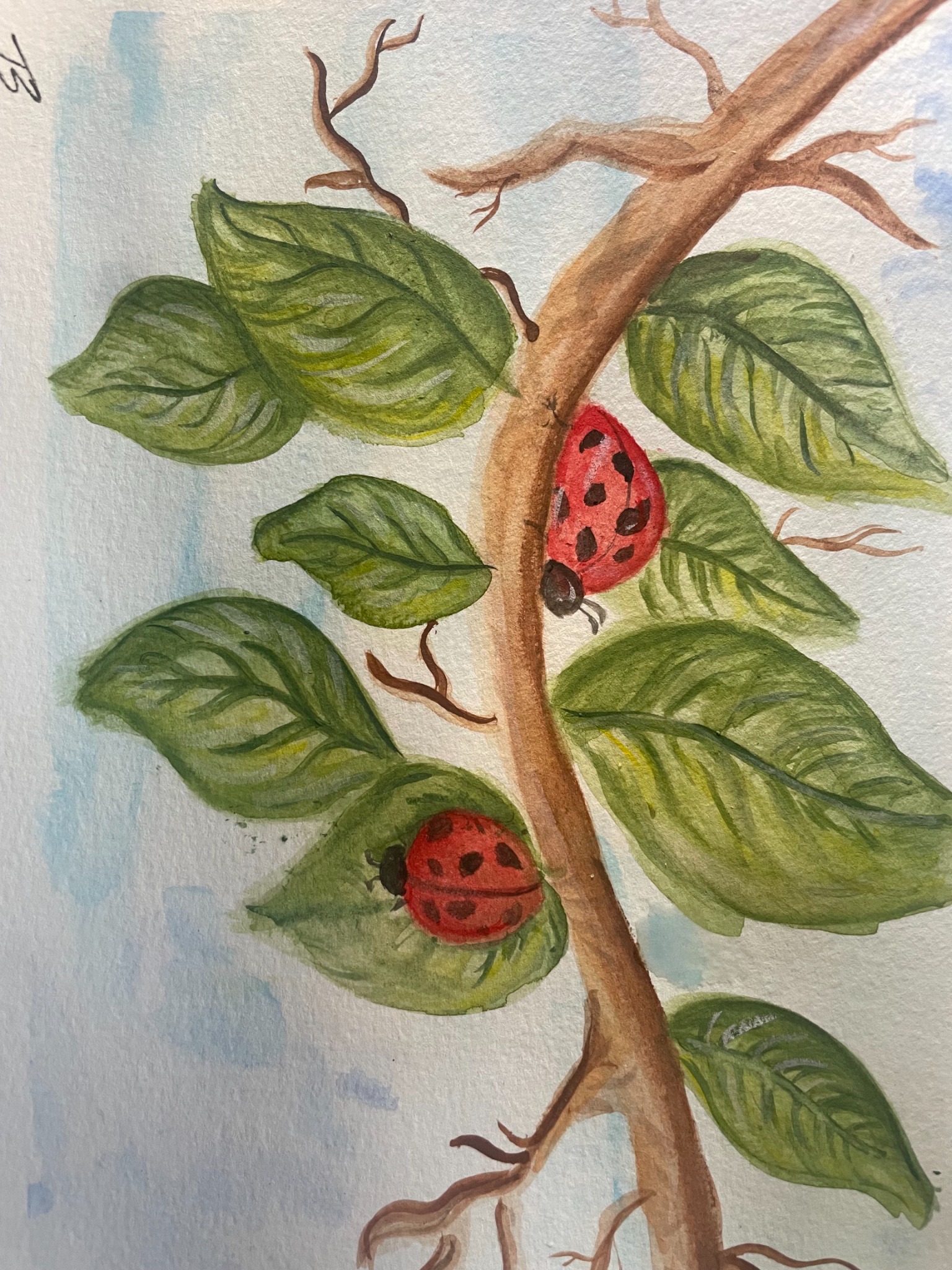 Art 2
