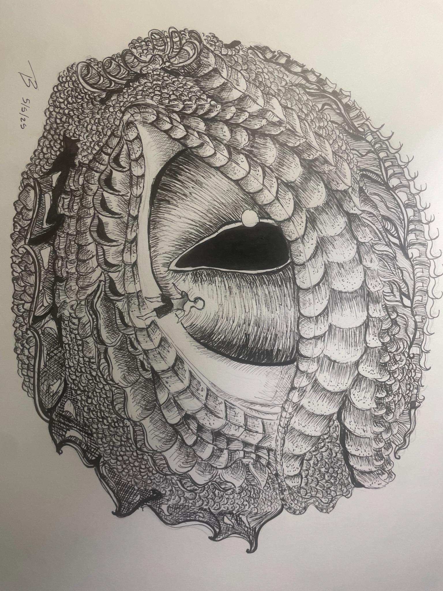 Art 6